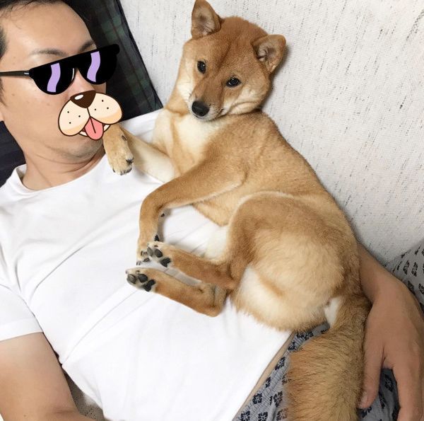 特等席