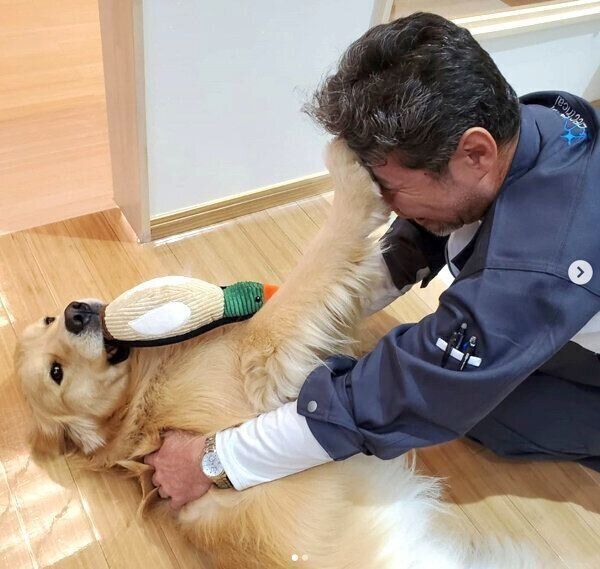パパさんとじゃれるアランくん