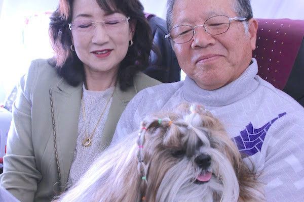 JALワンワンJET沖縄