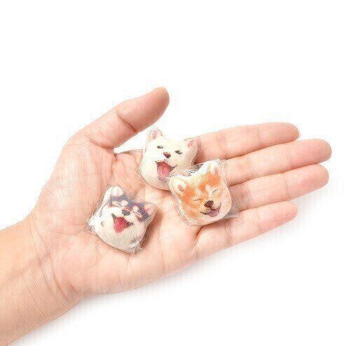 3種類の柴犬のほうずい