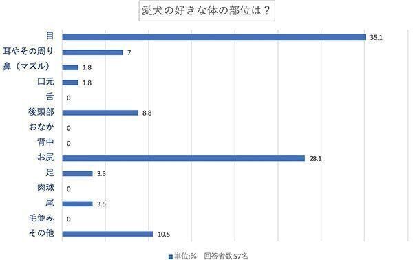 愛犬の好きな体の部位は?