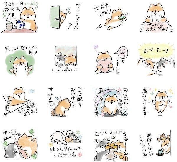 「気づかう犬」