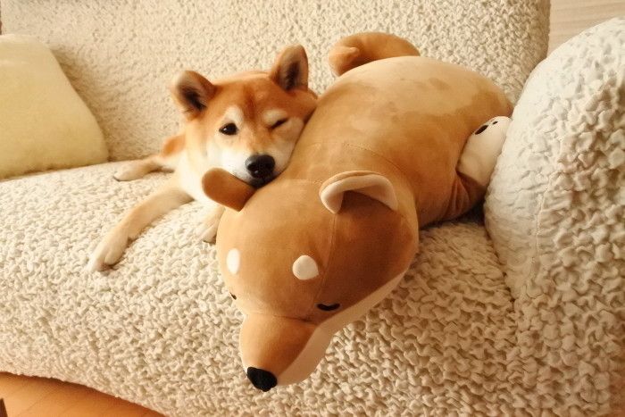 ねむー