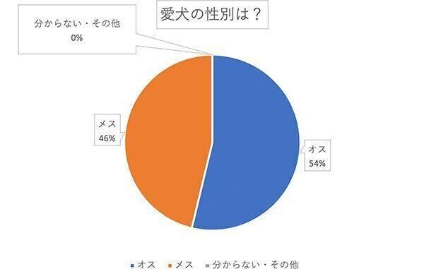 愛犬の性別は?