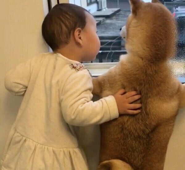 仲良く外を眺めるももかちゃんと妹ちゃん