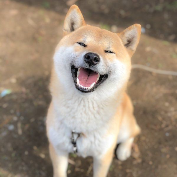 最高の笑顔を見せるそらくん