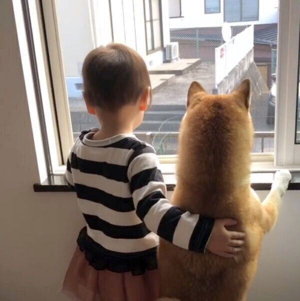 仲良く外を眺めるももかちゃんと妹ちゃん