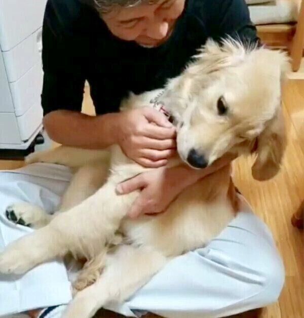 パパさん「イヤイヤ期」のアランくん