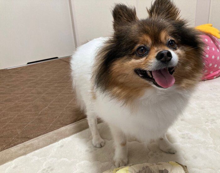 別の日のけんたくん　表情がかわいらしい