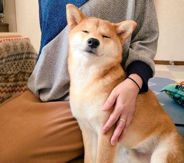 眠そうな麦くん