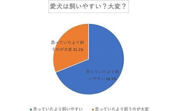 愛犬は飼いやすい? 大変?