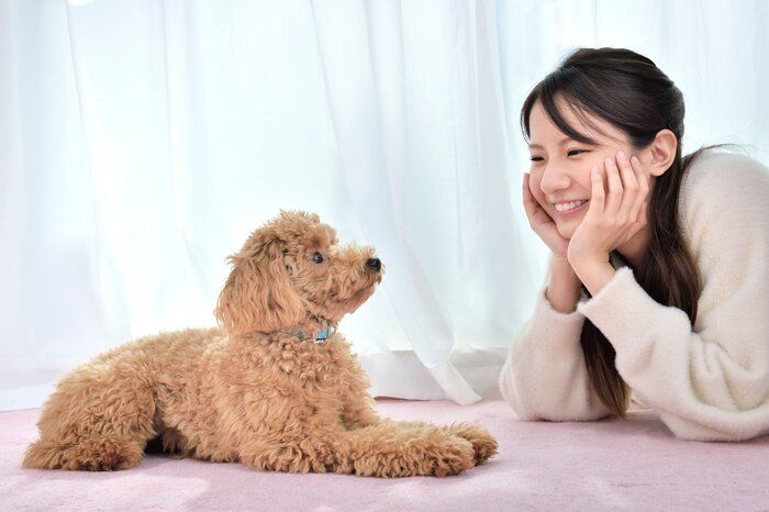 アイコンタクトをたくさんとってみよう
