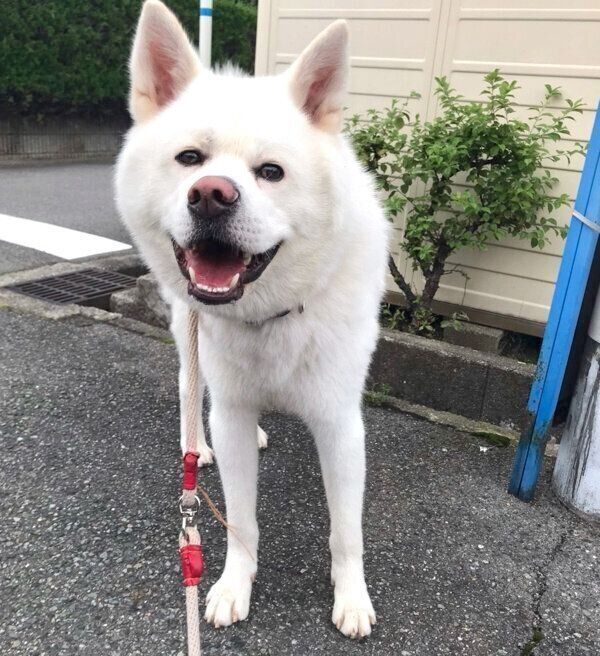 笑顔の心くん