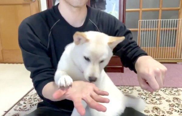 「おやつどっちだ!?」と遊ぶはるちゃん