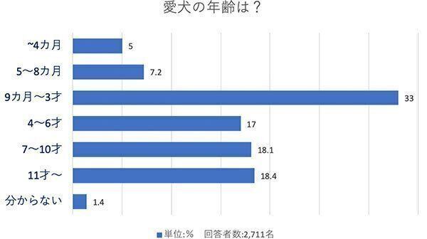 愛犬の年齢は?