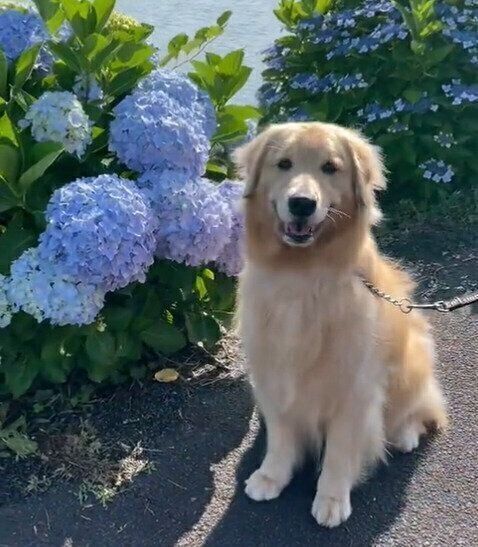 resized_b2da207a-c0d9-4878-