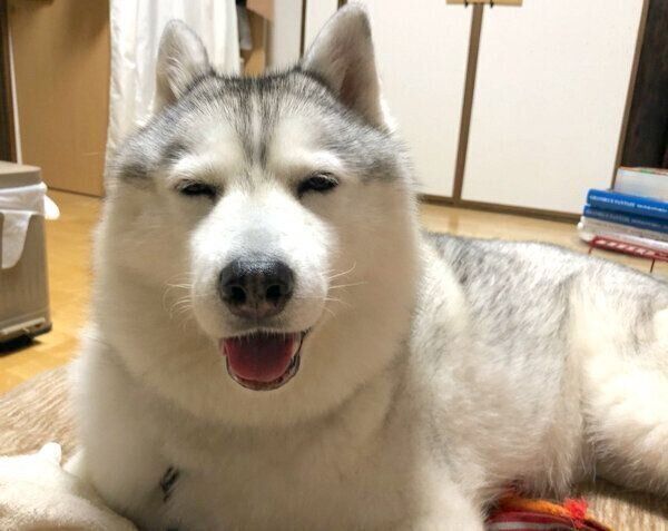微笑むシルビアちゃん