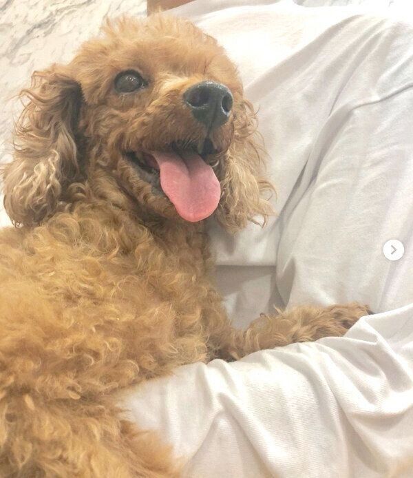 家に向かうときに笑顔を見せたぐらちゃん