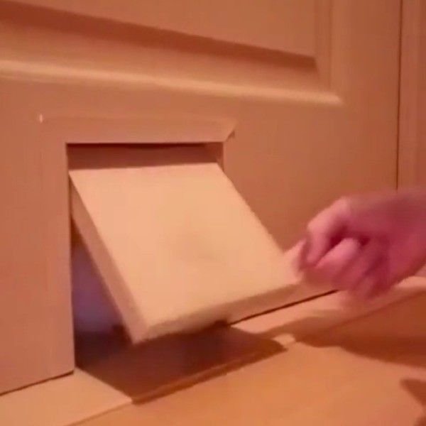 猫ドアから顔を出すワンコ