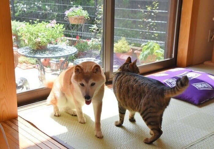 終了~