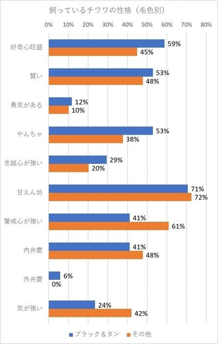 毛色別チワワの性格