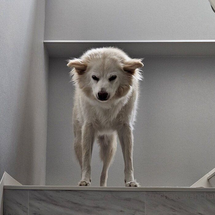 �����礵��˵����դ��ƿ��Ӥ򤹤��������