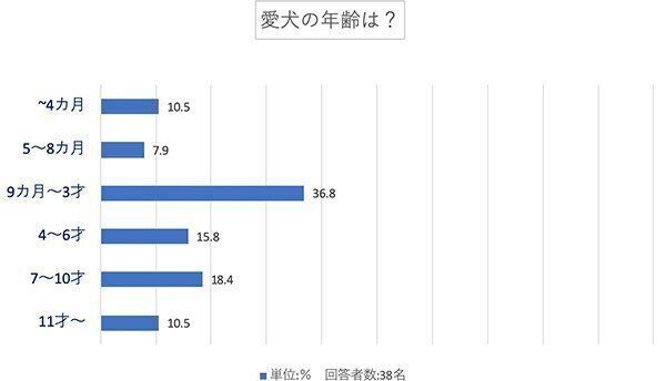 愛犬の年齢は?