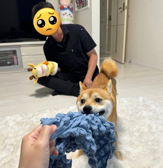 遊ぶわさびくん