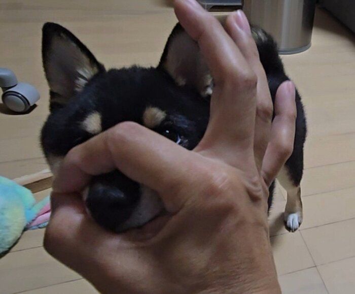 スポッと鼻を入れるつむぎちゃん