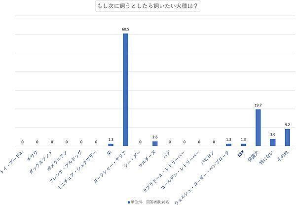 もし次に飼うとしたら飼いたい犬種は?