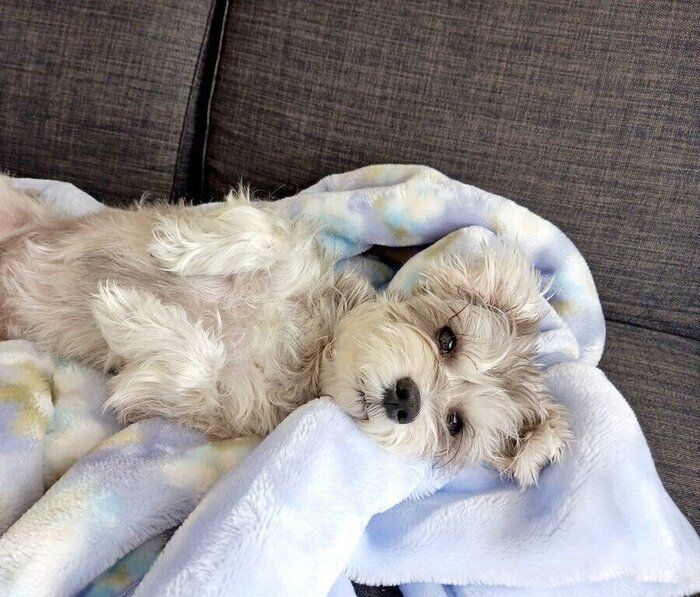 �����礵������ۤ˿�ž����ڥ줯��