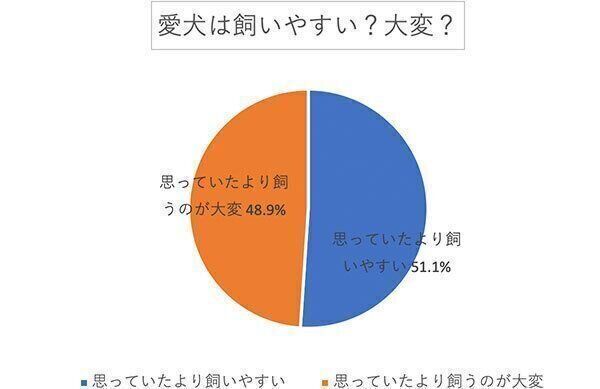 愛犬は飼いやすい? 大変?