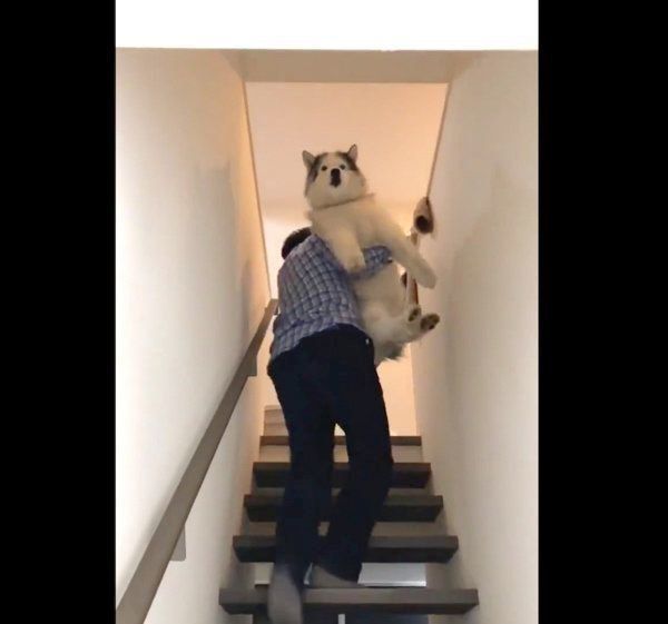 お風呂場に連行されるフィスくん