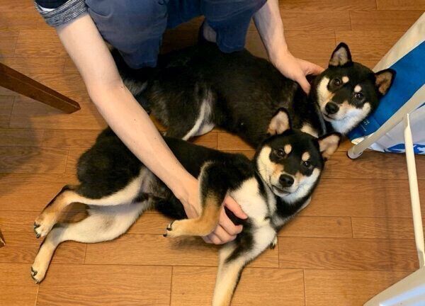 見つめる澄くんと栗ちゃん