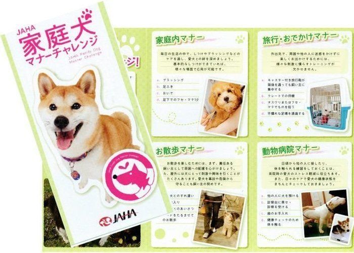 ↑最低限、何を教えるべきかは、JAHA家庭犬マナーチャレンジに記されている。くわしくはJAHAのホームページへ