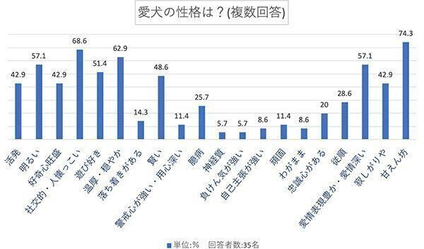 愛犬の性格は?