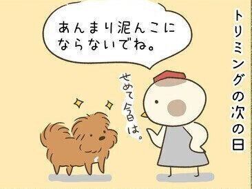 連載「こぐま犬てんすけ」vol.104