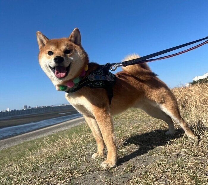 ニコニコ顔が可愛いぽたくん