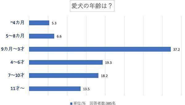 愛犬の年齢は?
