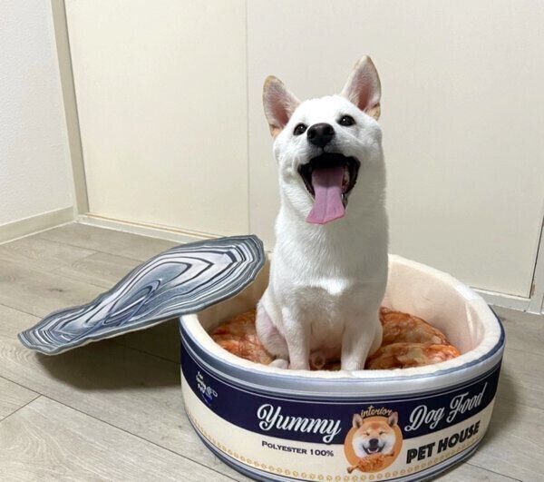 「犬缶」に入って笑顔を見せるおこめくん