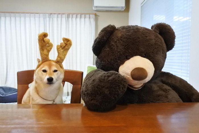 (* ̄(エ) ̄*)