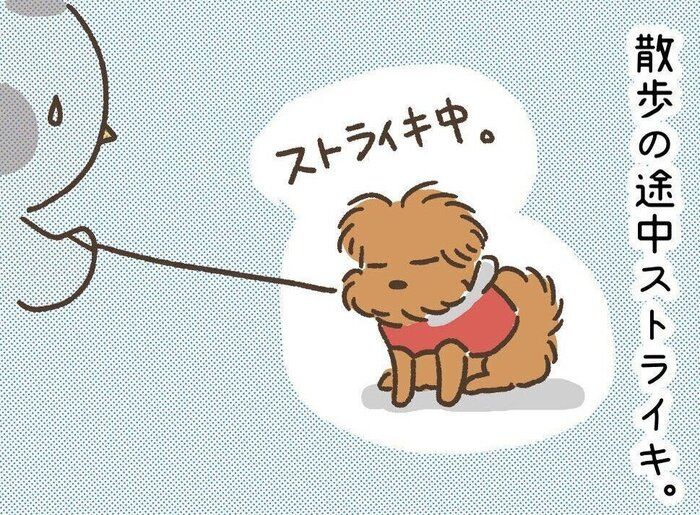 連載「こぐま犬てんすけ」vol.99