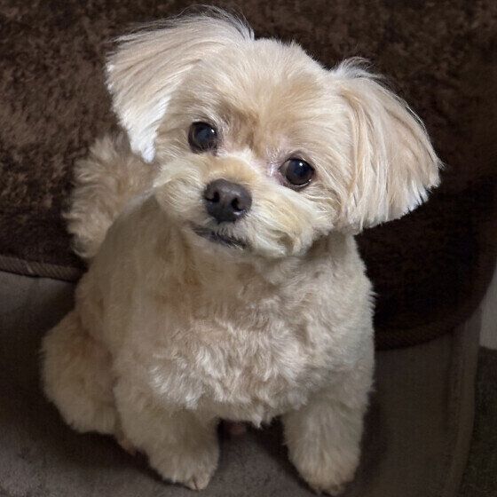 ��򤫤�����������