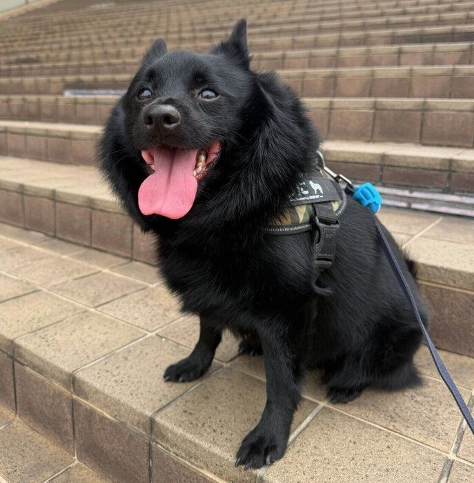 散歩を楽しむうにくん