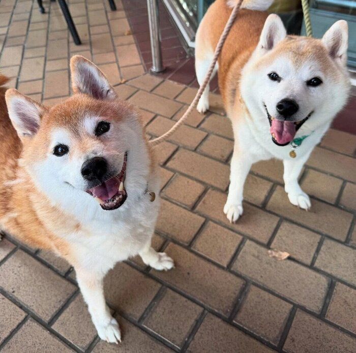 ɤ򤹤Ϥ뤯󡢤