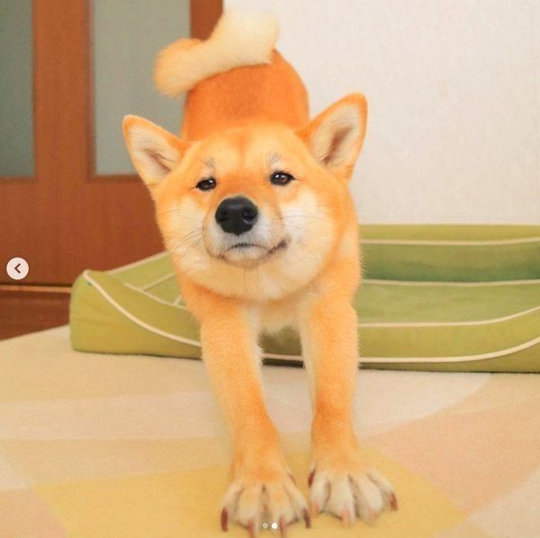 MIXのすずちゃん