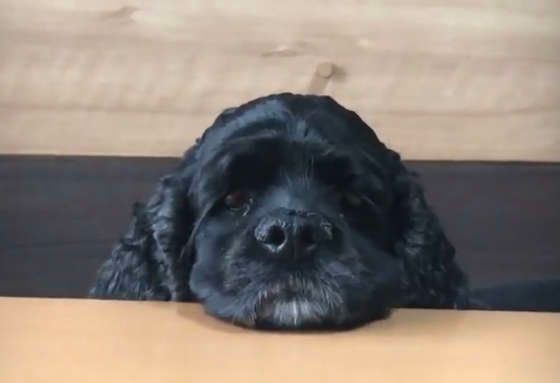 あごのせ