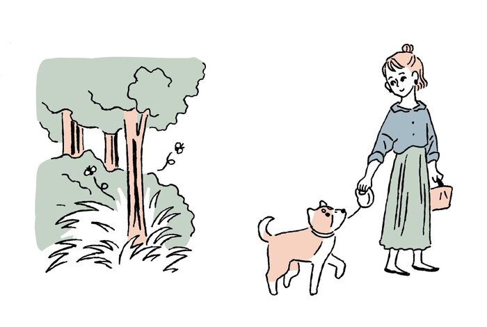 イラスト/Yu Tokumaru