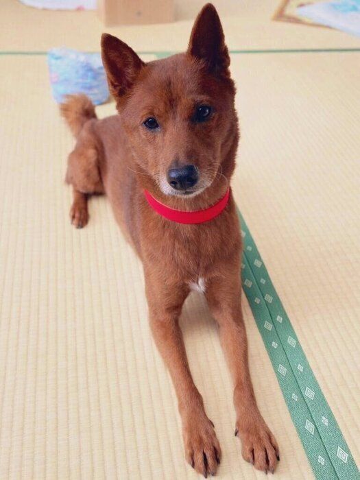 穏やかな表情がかわいらしい1枚