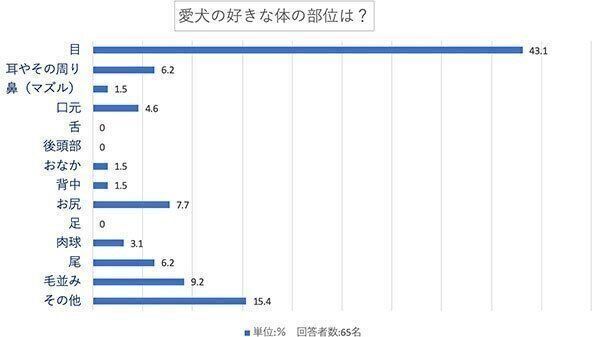 愛犬の好きな体の部位は?